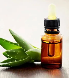gel aloe vera the body shop The Body Shop Aloe Soothing Night Cream 50 ml