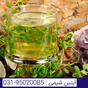 روغن براهمی