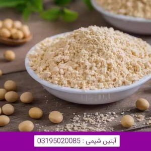 پروتئین ایزوله سویا