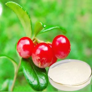 آربوتین