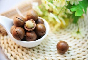 روغن ماکادمیا