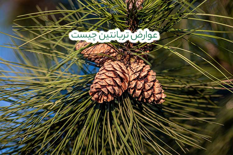 عوارض تربانتین