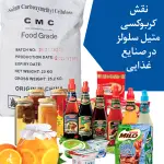 نقش کربوکسی متیل سولز در صنایع غذایی