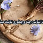 کاربرد اینولین